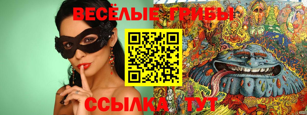 купить   Псилоцибиновые грибы прущие грибы  Вход с VPN  Псилоцибиновые грибы мицелий  Гуково 